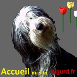 logo accueil site 512x512