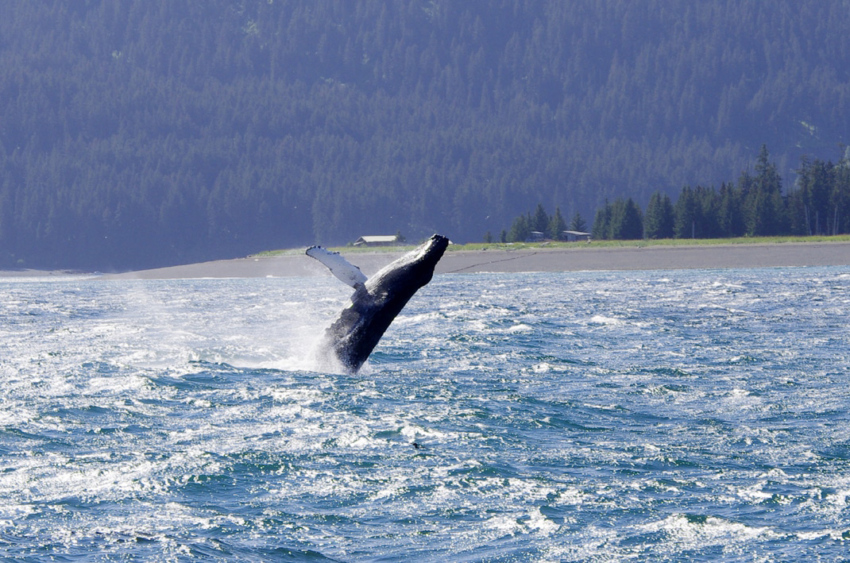 USA Alaska. USA Alaska.