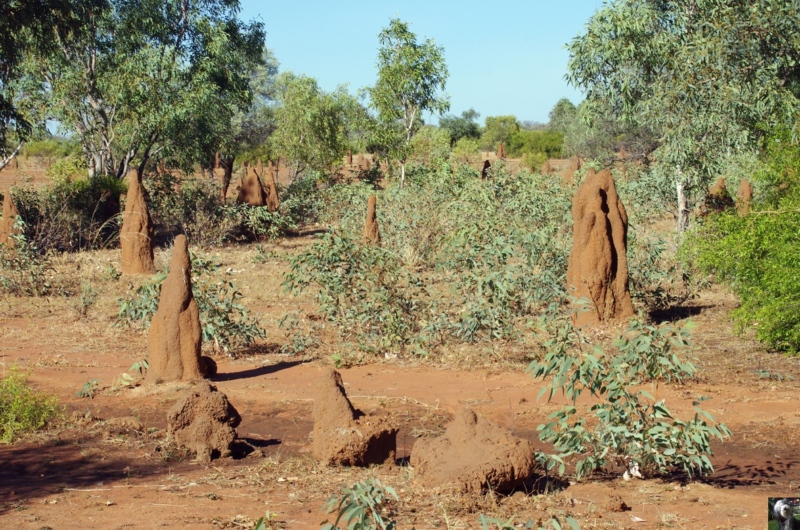 Australie Australie
