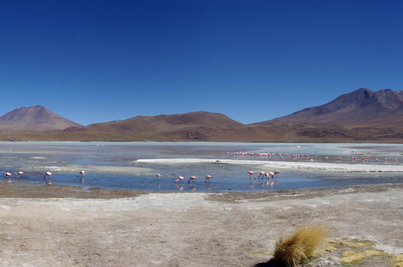 Bolivie. Bolivie.