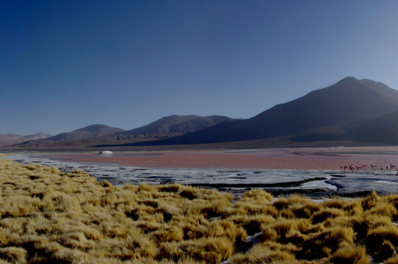 Bolivie. Bolivie.