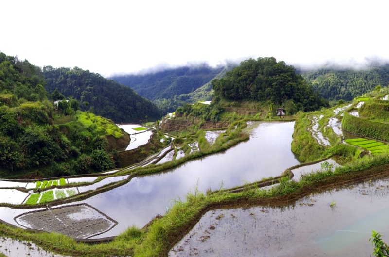 Philippines Philippines