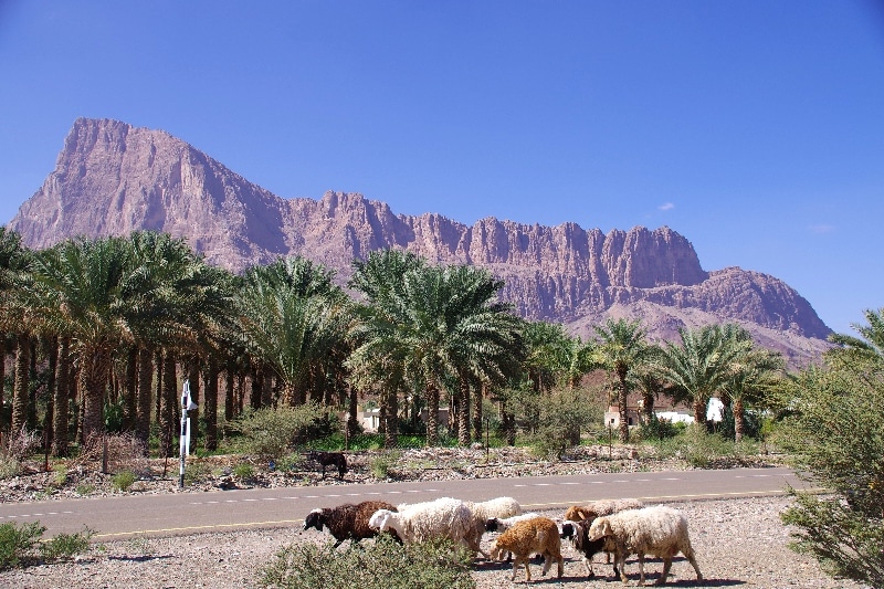 Les crêtes déchiquetées du Djebel Misht. Les crêtes déchiquetées du Djebel Misht.