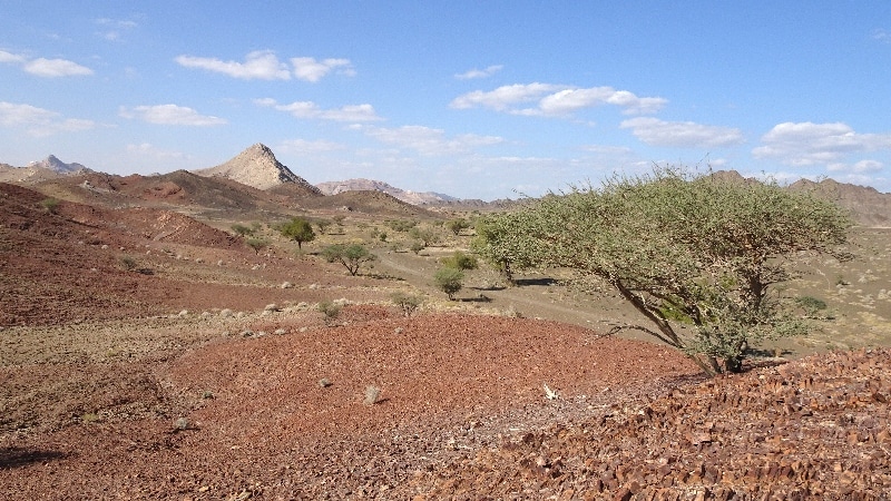 Paysage coloré découvert au hasard de nos pérégrinations. Paysage coloré découvert au hasard de nos pérégrinations.