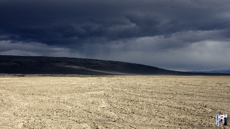 Champs de cendre et de lave du Bárðarbunga au niveau d’Holuhraun. Champs de cendre et de lave du Bárðarbunga au niveau d’Holuhraun.