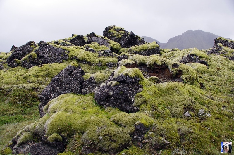 Landmannalaugar. Landmannalaugar.