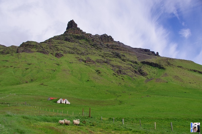 seljalandsfoss sur la route N°1. Sur la route N°1, montagnes moussues.