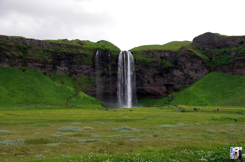 seljalandsfoss sur la route N°1. seljalandsfoss sur la route N°1.
