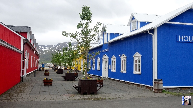 La petite ville de Sigulfjördur. La petite ville de Sigulfjördur.