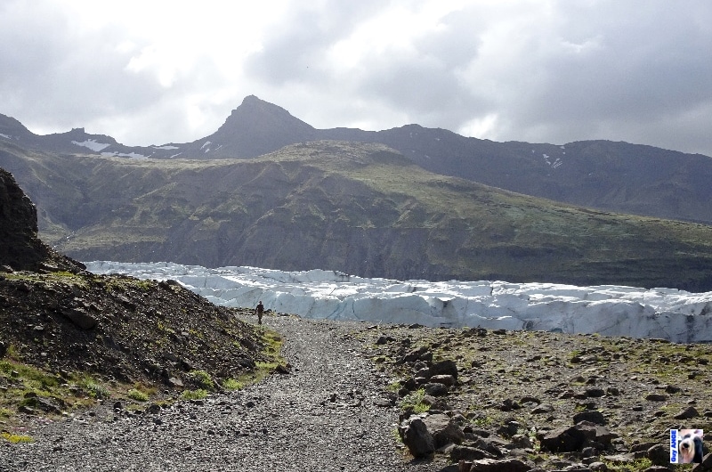 Le Svínafeljökull, langue glaciaire issue du Mýrdalsjökull.