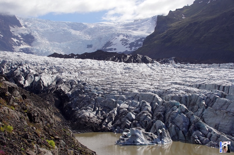 Le Svínafeljökull, langue glaciaire issue du Mýrdalsjökull.