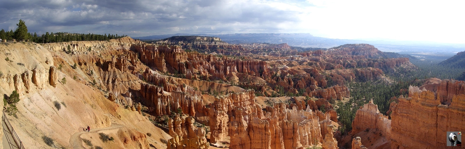 Un chemin descend pour visiter du bas ces colonnes. USA, Bryce Canyon.