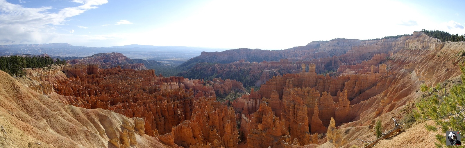 Brice Canyon sous un beau soleil. USA, Bryce Canyon.