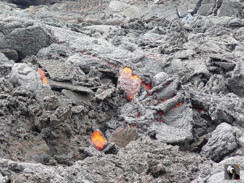 Lave incandescente sur les flancs du volcan Pacaya. Guatemala, le Pacaya.