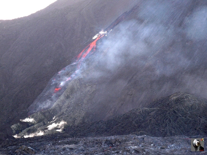 Une coulé apparaît sur le flanc du cône Mac Kenney. Guatemala, le Pacaya.