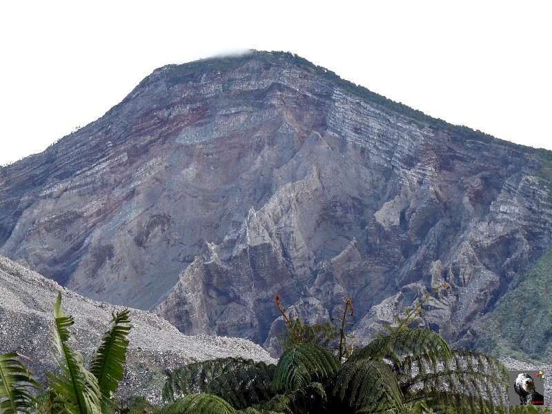 De l'estencia, vue sur le sommet du Santa Maria. Guatemala, le Santiaguito.