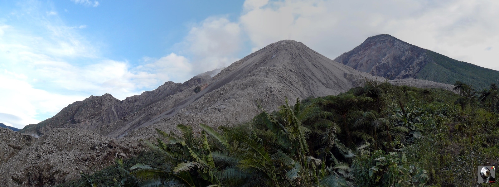 Vue sur le Santiaguito et le sommet du Santa Maria depuis l'Estencia. Guatemala, le Santiaguito.