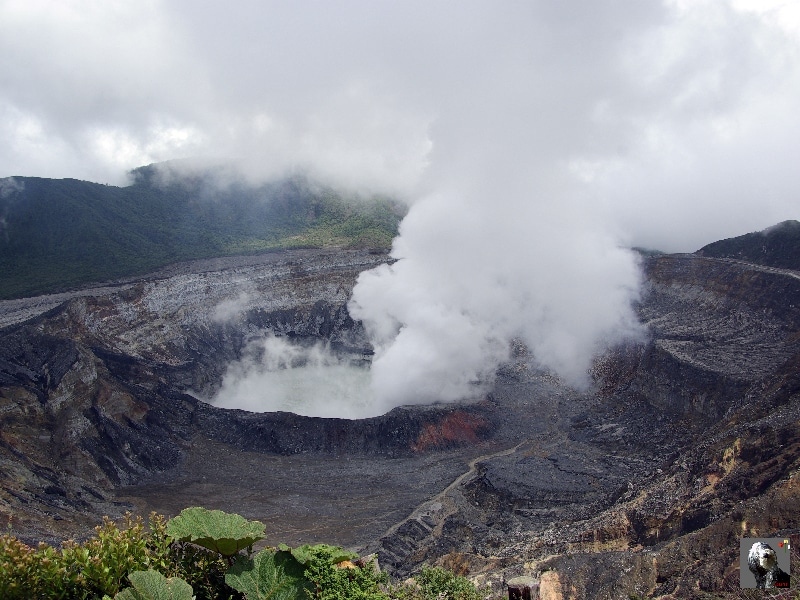 Le lac acide du cratère principal est chaud et fume énormément dégageant vapeur d'eau et gaz acide (dioxyde de soufre). Costa Rica, Volcan Poas.