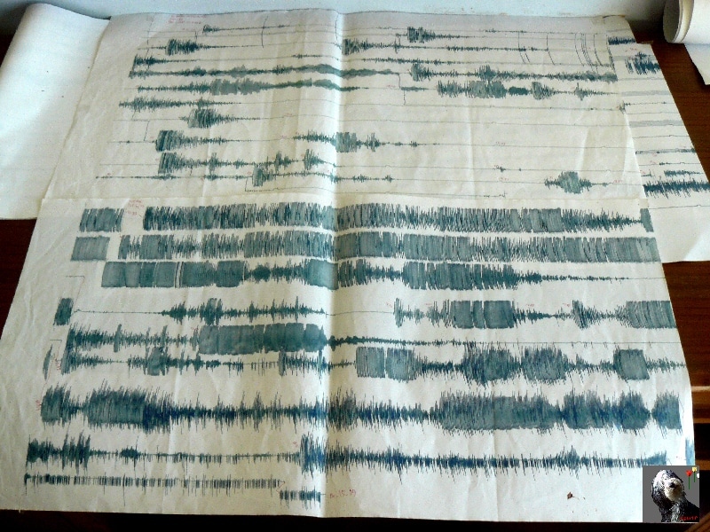 Enregistrement de l'activité sismique. Le Krakatau reprend du service ! Indonésie, Krakatau.