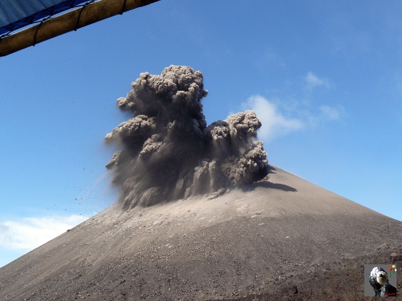 On distingue bien les bombes volcaniques éjectées qui retombent sur les flancs du cratère en soulevant cette poussière grise fine. Indonésie, Krakatau.