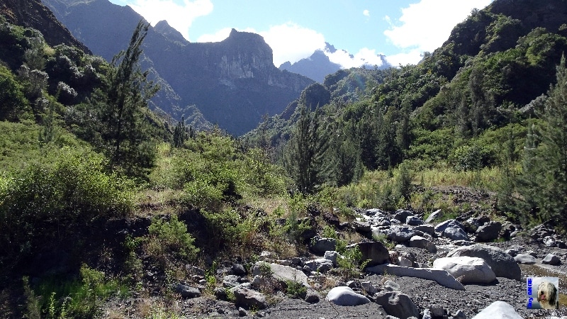 Randonnée jusqu'à Îlet à Cordes. Arrivée au fond de la rivière avant de remonter. La Réunion.