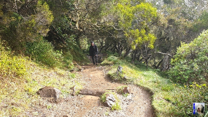 La remontée sous la pluie est harassante ! La Réunion.