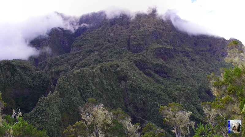 Des bancs de brume accrochés aux sommets. La Réunion.