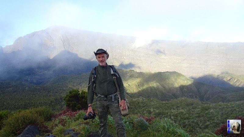Un peu de brume au col des bœufs. La Réunion.