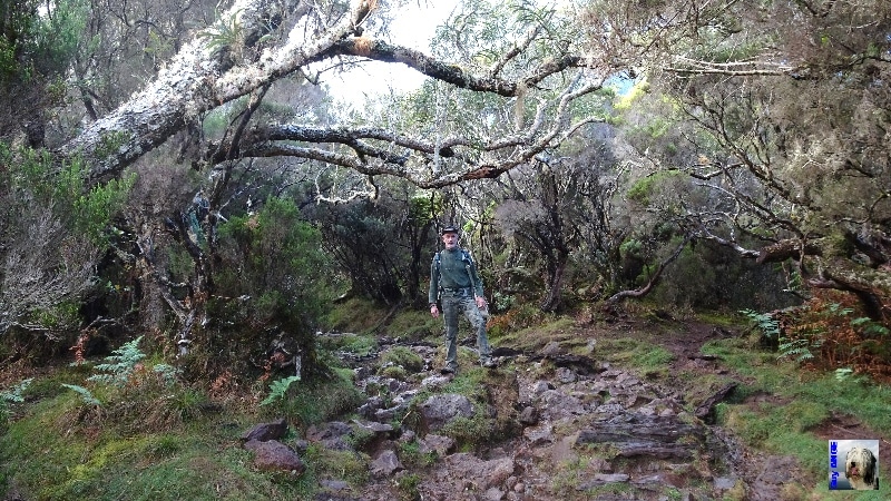 Descente vers Marla. La Réunion.