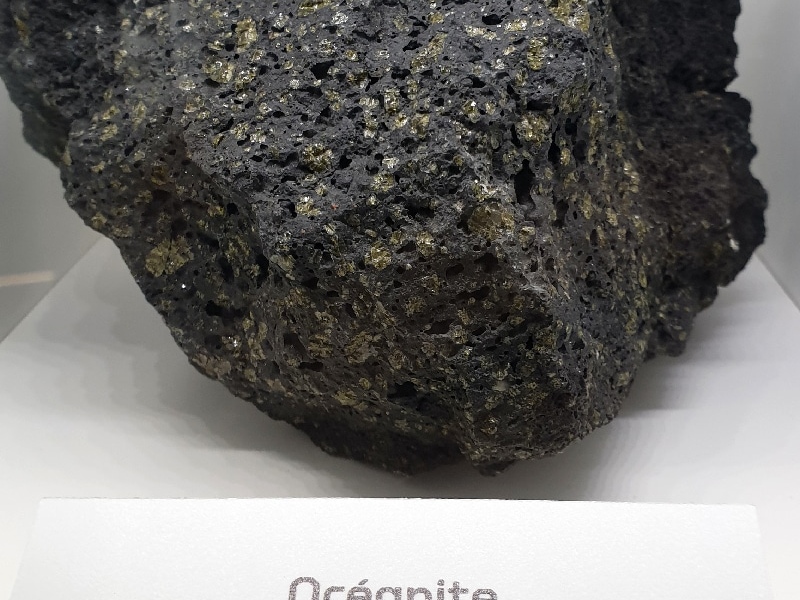 Océanite. La Réunion.