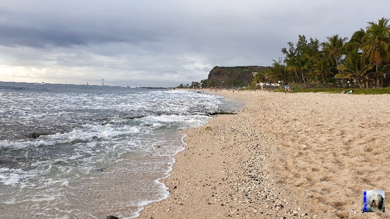 Plage à Saint-Gilles les Bains. La Réunion.