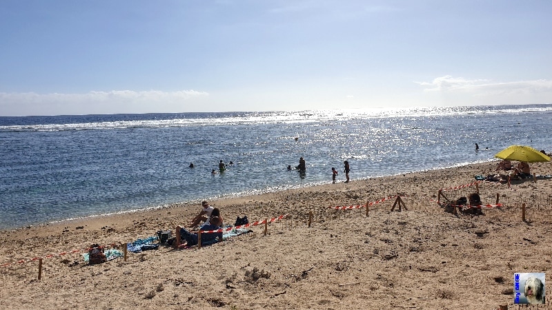 Plage à Saint-Gilles les Bains. La Réunion.