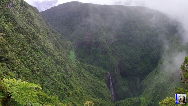 Le Trou de Fer. La Réunion.