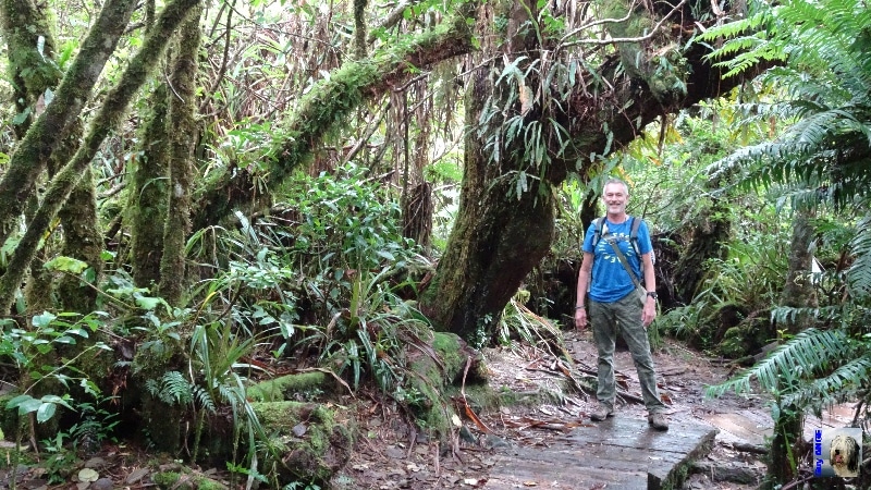 Randonnée au Trou de Fer. La Réunion.