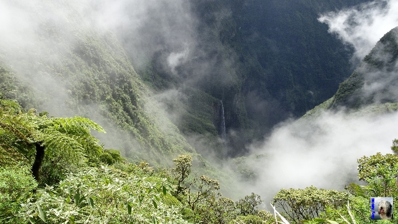 Le Trou de Fer. La Réunion.