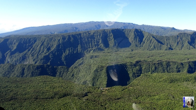 La foret de Bébour-Bélouve. La Réunion.