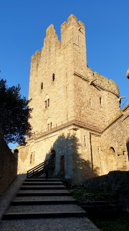 La Cité Médiévale. Carcassonne
