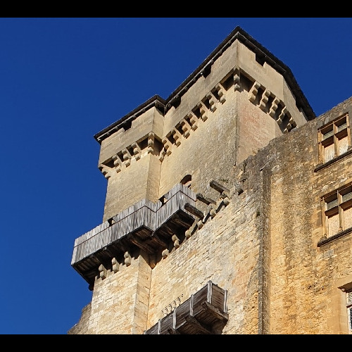 Château de Castelnaud la Chapelle. Dordogne