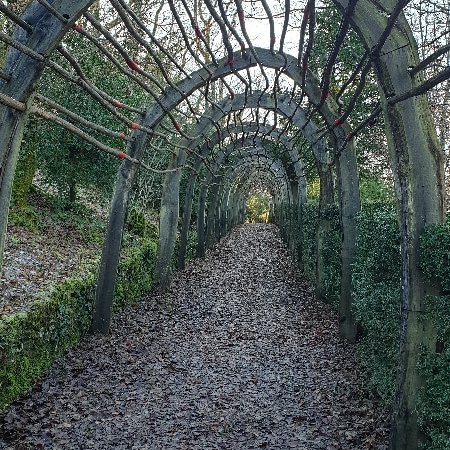 Dans le Jardin de Marqueyssac. Dordogne