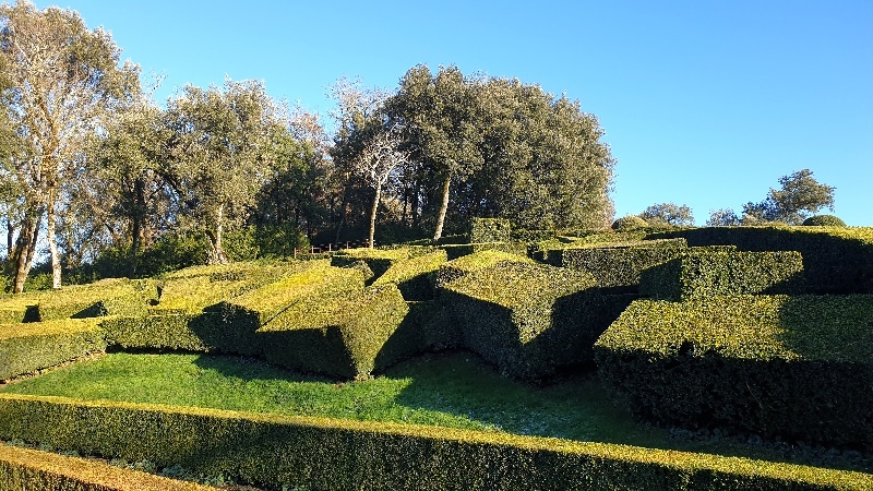 Château de Marqueyssac, buis à la taille parallélépipédique. Dordogne