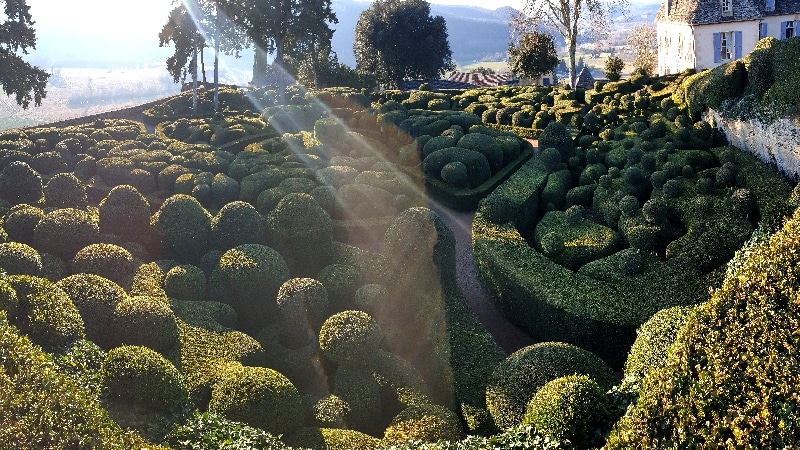 Château de Marqueyssac, buis à la taille moutonante. Dordogne
