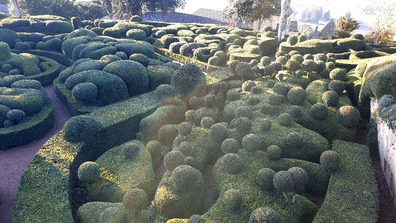 Château de Marqueyssac, buis à la taille moutonante. Dordogne