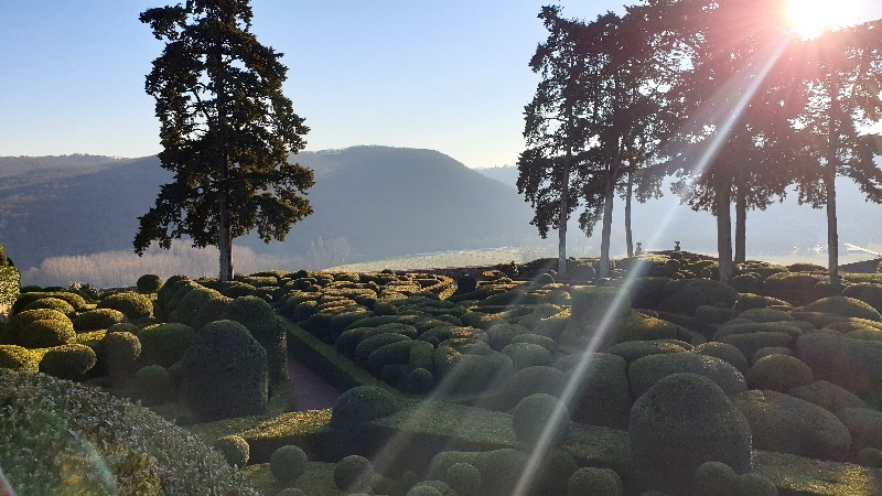Château de Marqueyssac, buis à la taille moutonante. Dordogne