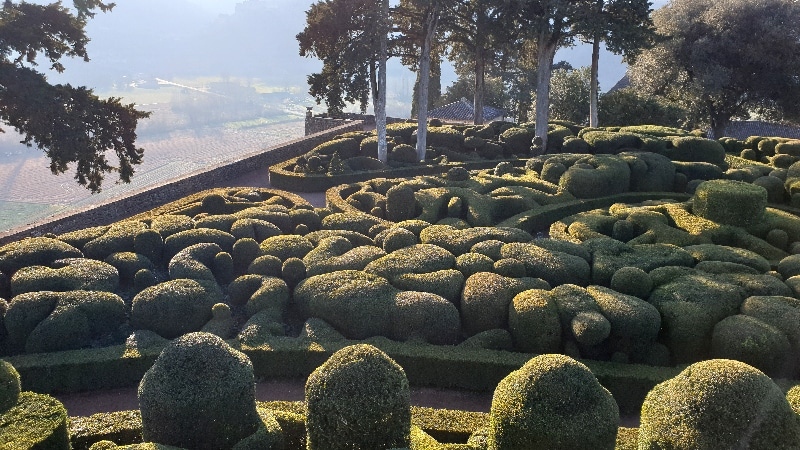 Château de Marqueyssac, buis à la taille moutonante. Dordogne