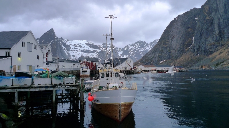 Petit port. îles Lofoten