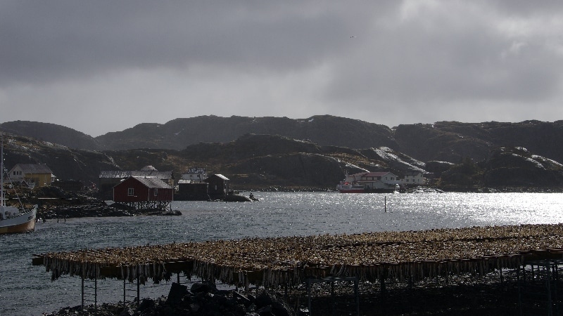Séchoir à morue. îles Lofoten