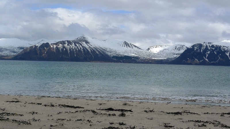 Nyksund sur l’Île de Langøya. îles Lofoten