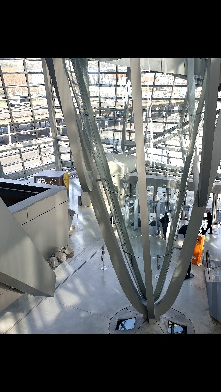 Musée des Confluences. Lyon