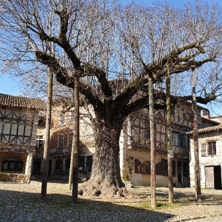 La Place du tilleul. Pérouges