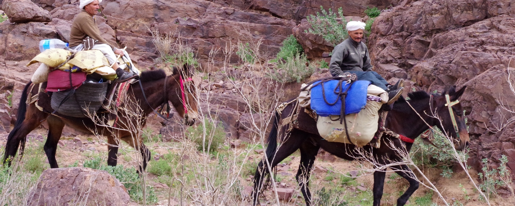 Trek dans le djebel Saghro, campement. Djebel Saghro